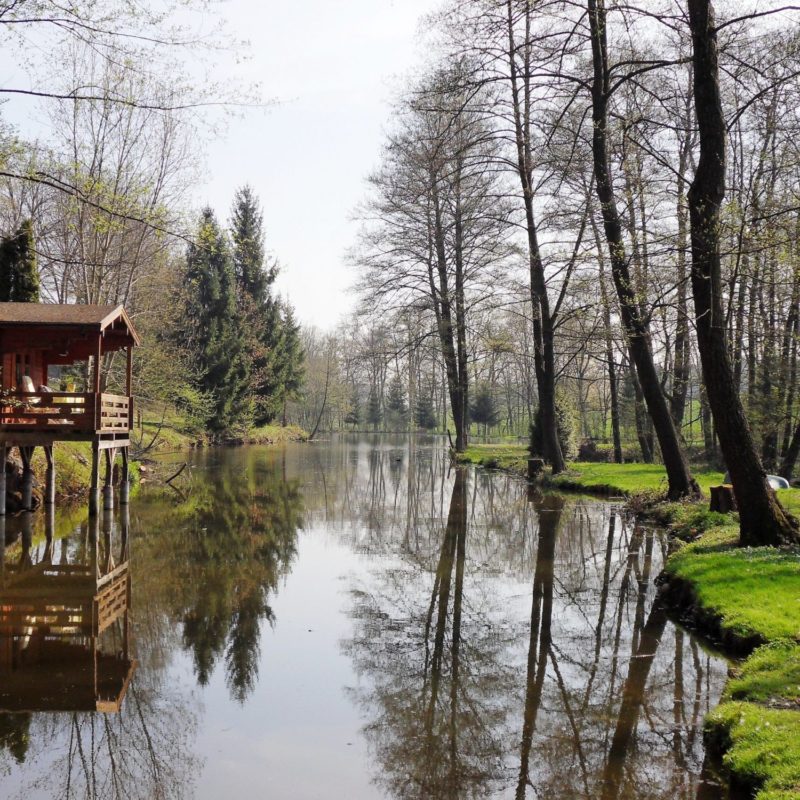 H&ocirc;tel spa restaurant 3 &eacute;toiles chaleureux au c&oelig;ur des 3 fronti&egrave;res pr&egrave;s de B&acirc;le et de l’Euroairport Lutterbach 11