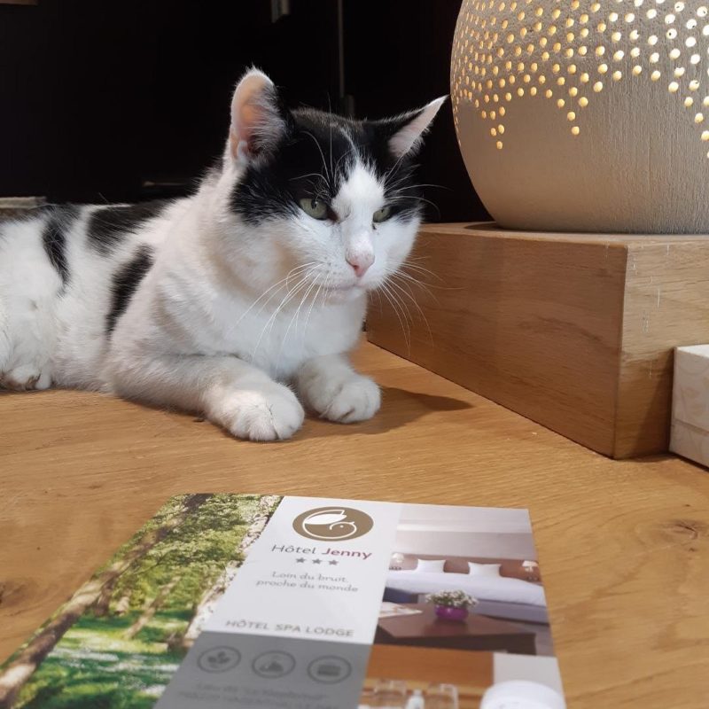 H&ocirc;tel spa restaurant 3 &eacute;toiles chaleureux au c&oelig;ur des 3 fronti&egrave;res pr&egrave;s de B&acirc;le et de l’Euroairport Riedisheim 2