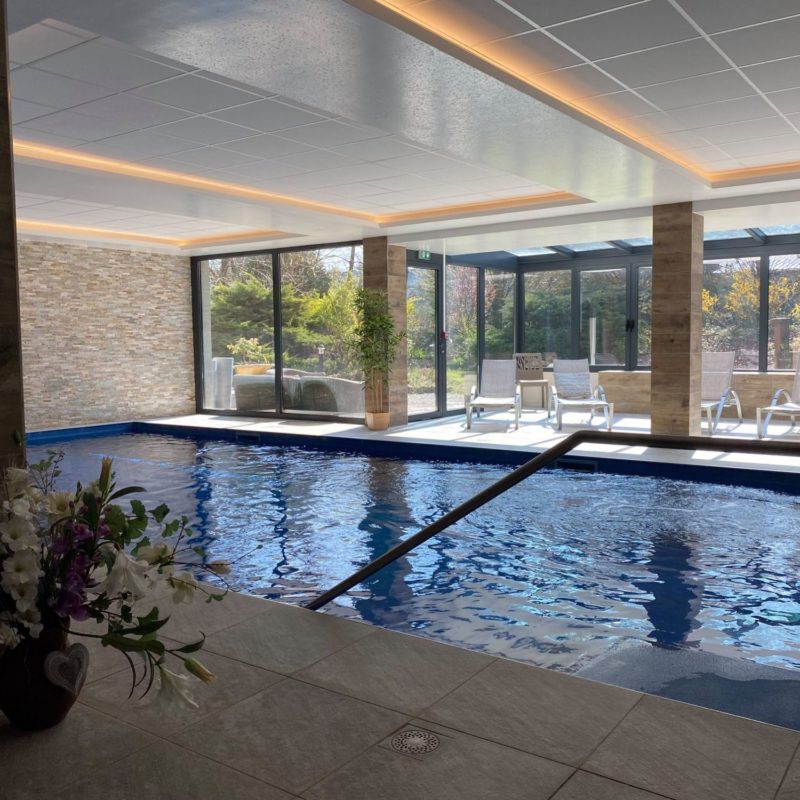 H&ocirc;tel spa restaurant 3 &eacute;toiles chaleureux au c&oelig;ur des 3 fronti&egrave;res pr&egrave;s de B&acirc;le et de l’Euroairport Saint-Louis 4