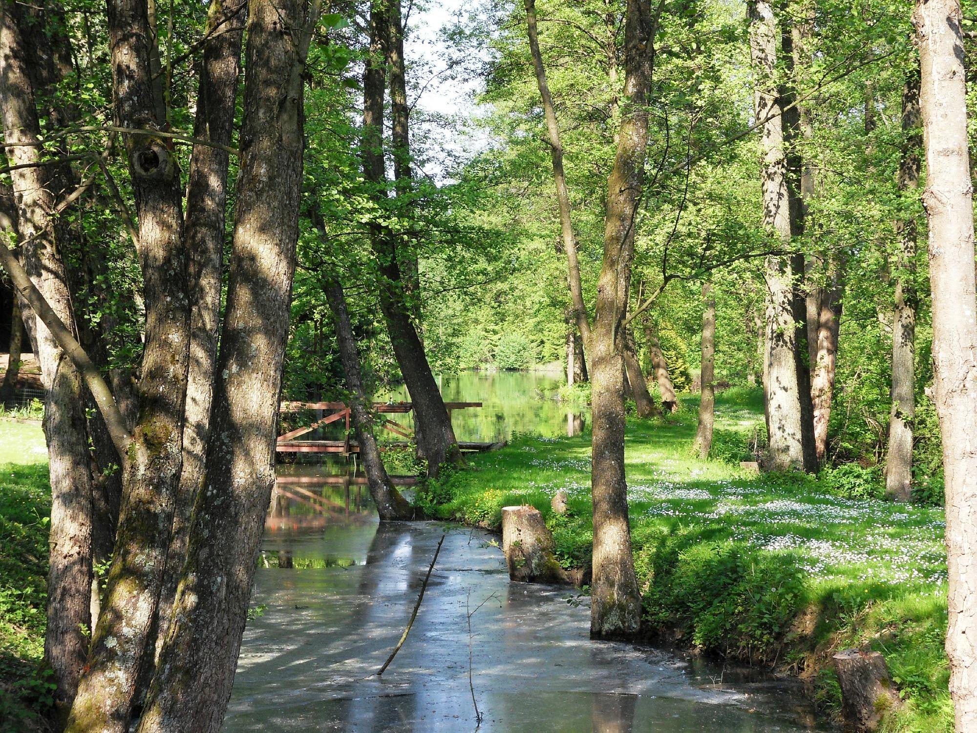 Loisirs & Activit&eacute;s &agrave; Proximit&eacute; avec deux grands Clubs de Golf Huningue