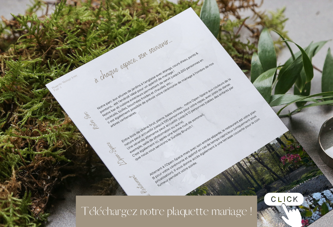 Salles et domaine pour l’organisation de s&eacute;minaires et mariages &agrave; c&ocirc;t&eacute; de B&acirc;le Illzach 6