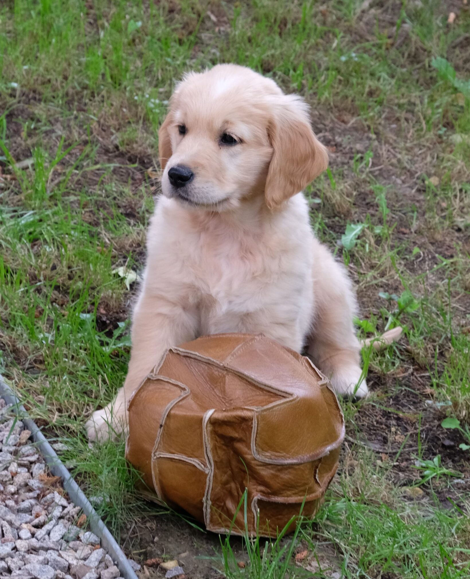 Notre Concept d’h&ocirc;tel dans le Haut-Rhin Riedisheim 1