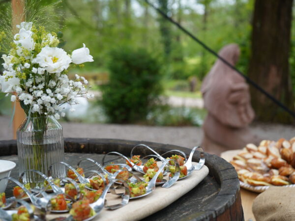 Salles et domaine pour l’organisation de s&eacute;minaires et mariages &agrave; c&ocirc;t&eacute; de B&acirc;le Saint-Louis 2